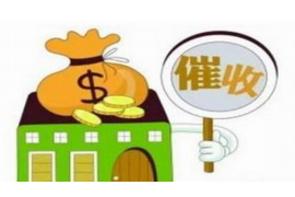 乃东乃东的要账公司在催收过程中的策略和技巧有哪些？